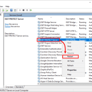 سرویس ESET PROTECT Server